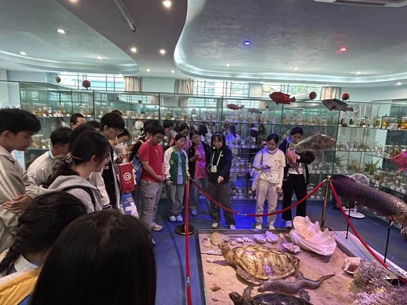 微信图片_20260203211304_91_595